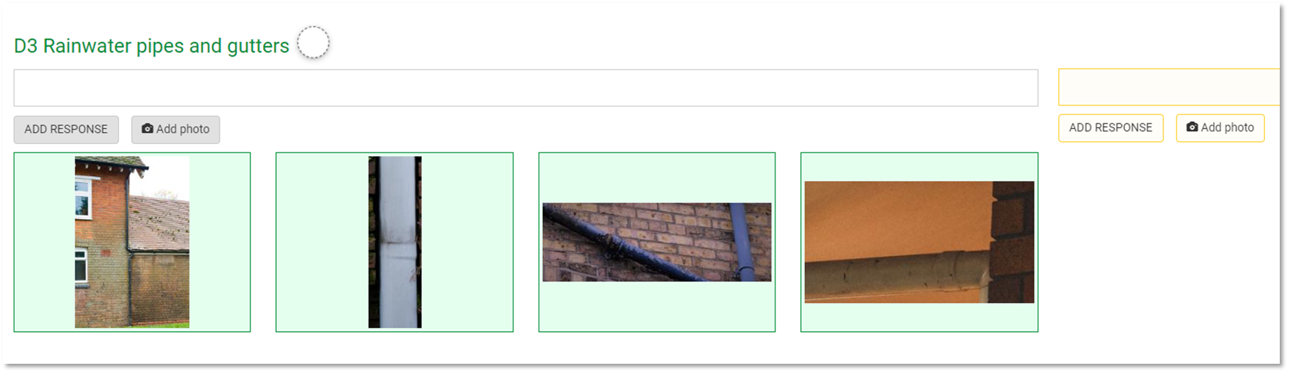 multiple images displayed in the survey template